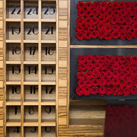 마룬 페라 이스탄불