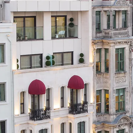 Maroon Pera